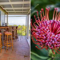 Honesty Bar - Fijnbos Manor - Xplorioâ„¢ Betty's Bay