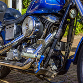 Bike Hire - Fijnbos Manor - Xplorioâ„¢ Betty's Bay