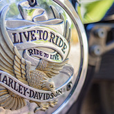 Live To Ride - Fijnbos Manor - Xplorioâ„¢ Betty's Bay