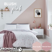 Prominent Paints Blush Pink