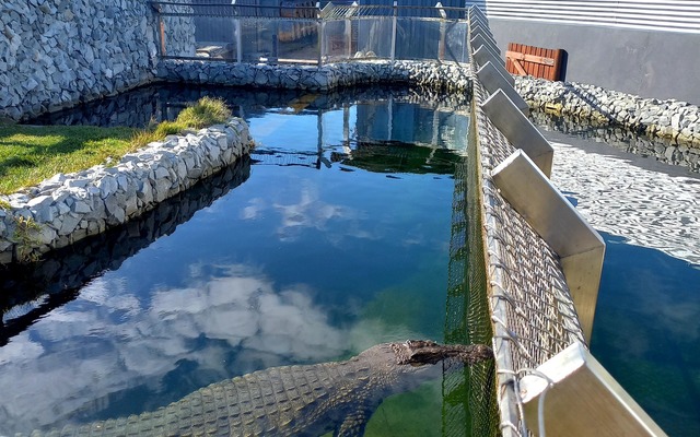 287200534_735442264459038_151975495929182659_n_1662550285