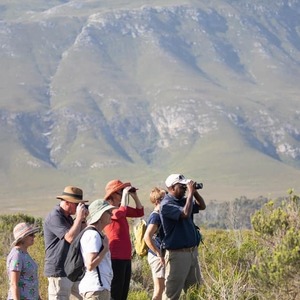 305308239_5436426556438408_5519267155357109133_n_1662642437