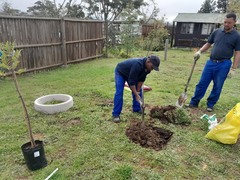 Planting Trees this Arbor Month