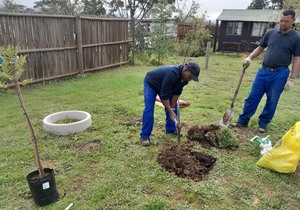 Planting Trees this Arbor Month