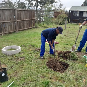 Planting - Theewater Sports Club - Xplorioâ„¢ Villiersdorp