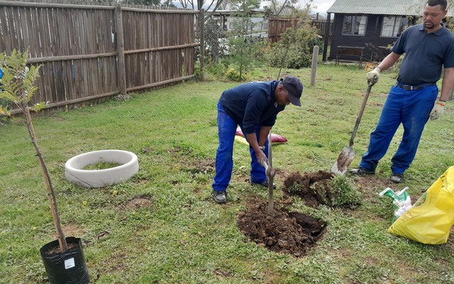 Planting - Theewater Sports Club - Xplorioâ„¢ Villiersdorp