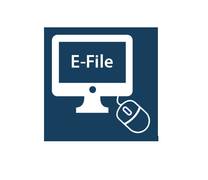 Do You Need Help With SARS E-Filing