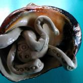 Periwinkle Shell and Handmade Clay Octopus - Pot en Gieter Gift Basket - Xplorioâ„¢ Gansbaai