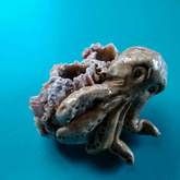 Barnicle Clay Octopus - Pot en Gieter Gift Basket - Xplorioâ„¢ Gansbaai