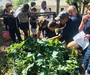 Checking in Before Harvest Time