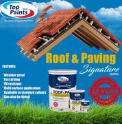 Roof and Paving Paint