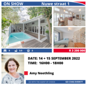 On Show During Nampo Week:Â Nuwe StreetÂ 1 Bredasdorp