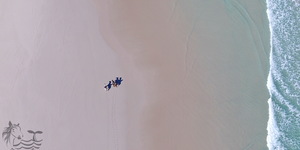 Pearly Beach Horse Trails