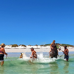 Pearly Beach Horse Trails
