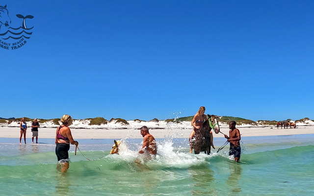 Pearly Beach Horse Trails