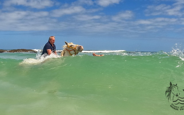 Pearly Beach Horse Trails