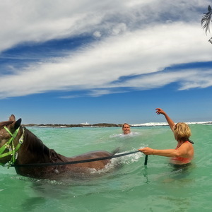 Pearly Beach Horse Trails