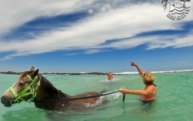 Pearly Beach Horse Trails