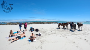 Latest Review and Awards