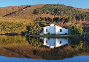 Countdown To TheÂ Pairing Art + WineÂ - Only 9 Days To Go!