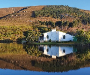 Countdown To TheÂ Pairing Art + WineÂ - Only 9 Days To Go!