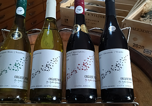 Saturday | Sunday Weekend Tasting:Â Organic Wines by Sophie Germanier