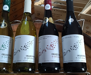 Saturday | Sunday Weekend Tasting:Â Organic Wines by Sophie Germanier