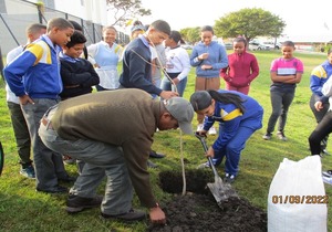 Municipality takes to the soil in Arbour Month