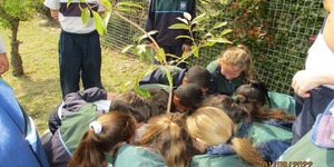 306584149_399055039069314_7033030327832548904_n_1663330316