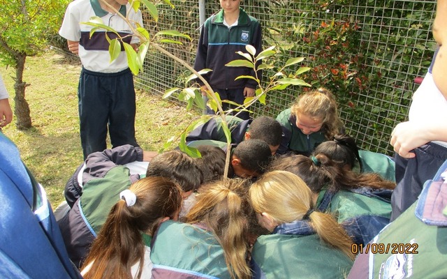 306584149_399055039069314_7033030327832548904_n_1663330316