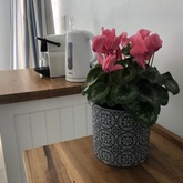 Tea/coffee facilities