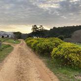 Lodge Road - Heilfontein Country Escape - Xplorioâ„¢ Caledon