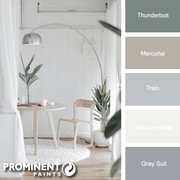 Prominent Paints: Fresh Whites and Soft Greys