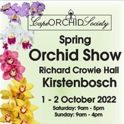 1 - 2 October 2022: Cape Orchid Society Show at Kirstenbosch Gardens