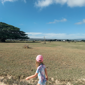 306775304_10159512364061677_4860878746702158950_n_1664201400