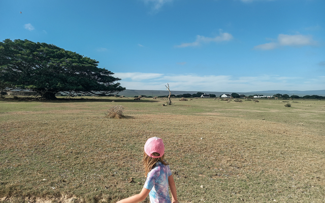 306775304_10159512364061677_4860878746702158950_n_1664201400