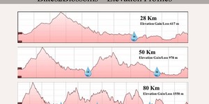 Routes and Elevation 4 - Trail's End - Xplorioâ„¢ Grabouw
