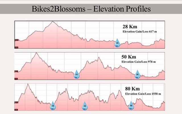 Routes and Elevation 4 - Trail's End - Xplorioâ„¢ Grabouw Routes and Elevation 4 - Trail's End - Xplorioâ„¢ Grabouw