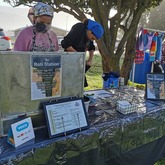 Roti Station - Kleinmond Beach Market - Xplorioâ„¢ Kleinmond