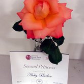 Roses - Greyton Rose Fair - Xplorioâ„¢ Greyton / Genadendal