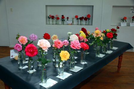 75569722_3160540620684210_2048153754661814272_n_1664348841