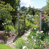 Roses - Greyton Rose Fair - Xplorioâ„¢ Greyton / Genadendal