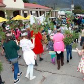 Flowers - Greyton Rose Fair - Xplorioâ„¢ Greyton / Genadendal