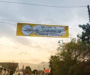 Stanford Culinary Festival: Bee Tours