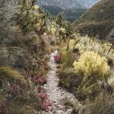 Path - Greyton Nature Reserve - Xplorioâ„¢ Greyton