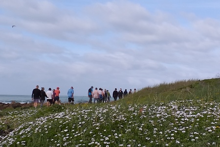 spring_flowers_1664784619