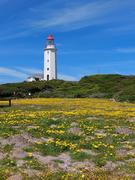 Open 3 - 8 October 2022: Danger Point Lighthouse