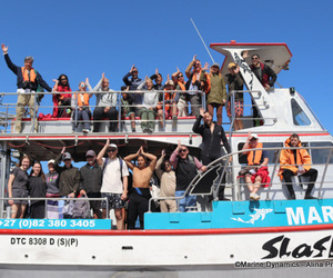 Daily Blog: 04 October 2022 | Shark Cage Diving in South Africa