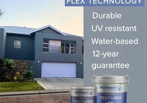 Prominent Premium Textured Paint