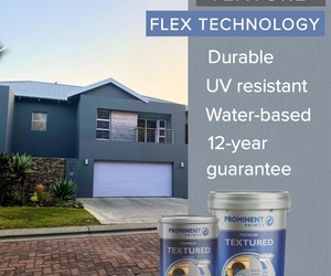 Prominent Premium Textured Paint